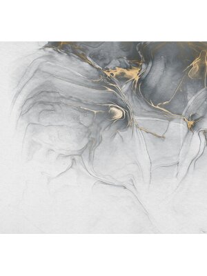 Noordwand Komar Raw Fotobehang Ink Gold Fluid - RSX6-037