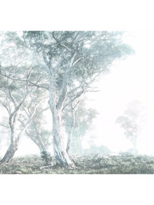 Noordwand Komar Raw Fotobehang Magic Trees - R3-023