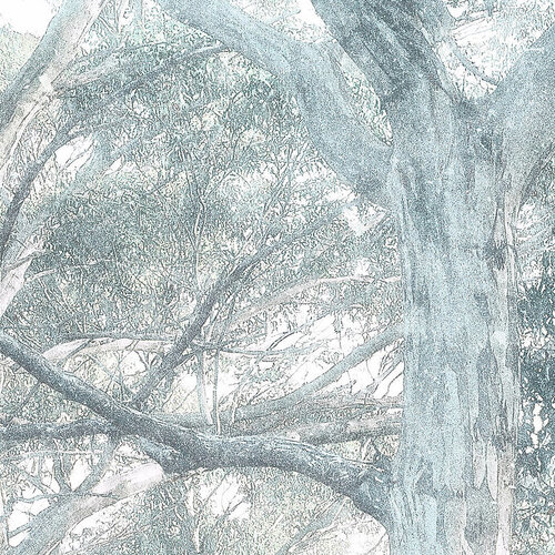 3m x 2,8m