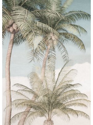 Noordwand Komar Raw Fotobehang Palm Oasis - R2-003 Noordwand Komar Raw Fotobehang Palm Oasis - R2-003