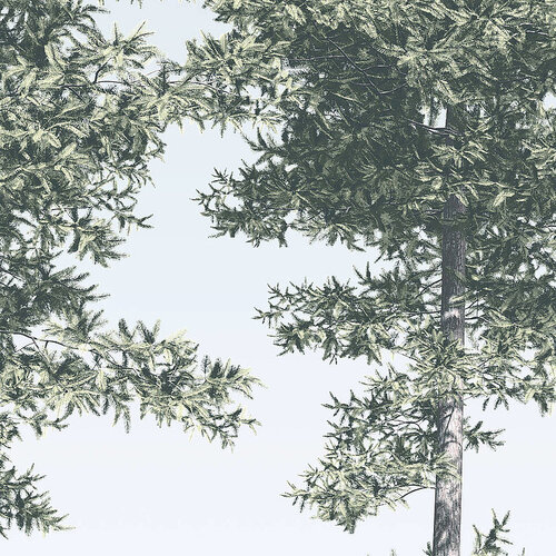 4m x 2,8m