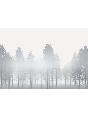 Noordwand Komar Raw Fotobehang Silver Haze - RSX8-055 Noordwand Komar Raw Fotobehang Silver Haze - RSX8-055