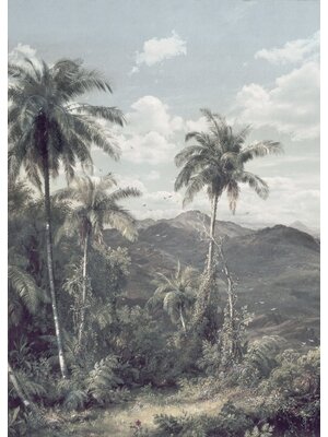 Noordwand Komar Raw Fotobehang The Exotic Land - R2-006 Noordwand Komar Raw Fotobehang The Exotic Land - R2-006