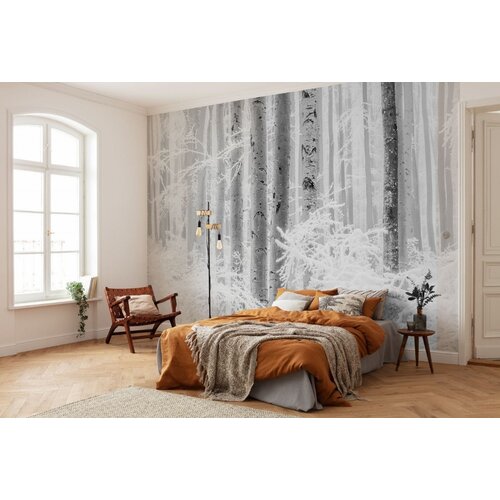 4m x 2,8m