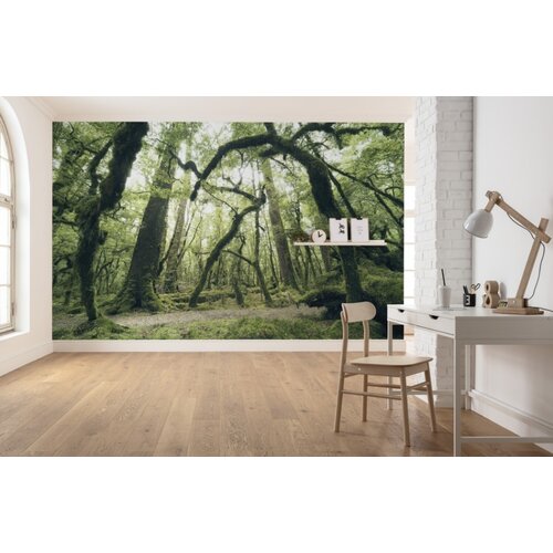 2,8m x 4,5m