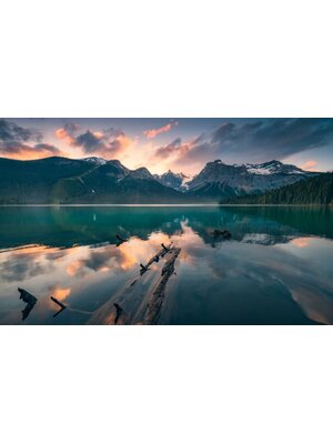 Noordwand Komar Stefan Hefele Fotobehang Burning Emerald - SHX9-012 Noordwand Komar Stefan Hefele Fotobehang Burning Emerald - SHX9-012