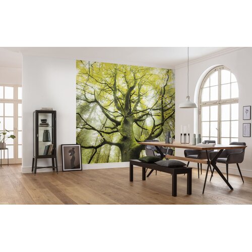 2,8m x 4,5m