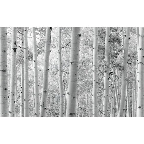 2,8m x 4,5m