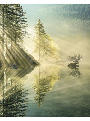 Noordwand Komar Stefan Hefele Fotobehang Indulgence of Beauty - SH018-vd2 Noordwand Komar Stefan Hefele Fotobehang Indulgence of Beauty - SH018-vd2