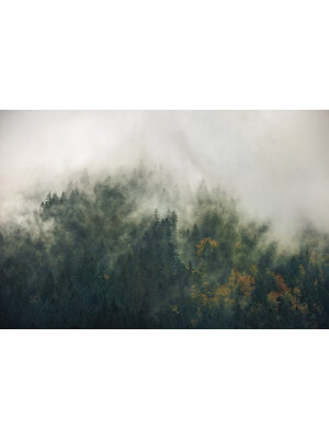 Noordwand Komar Stefan Hefele Fotobehang Tales of the Carpathians - SH036-VD3 Noordwand Komar Stefan Hefele Fotobehang Tales of the Carpathians - SH036-VD3