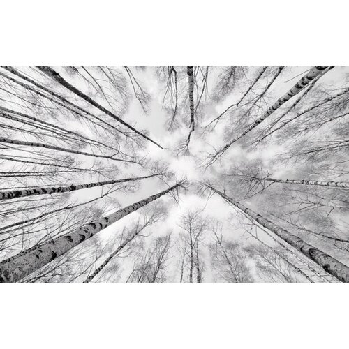 2,8m x 4,5m