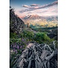 Komar Stefan Hefele; Komar Wanderlust Fotobehang Flowering Tales - SHX4-130