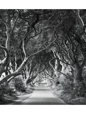 Noordwand Komar Stefan Hefele; Komar Wanderlust Fotobehang Forevenue - SHX5-033 Noordwand Komar Stefan Hefele; Komar Wanderlust Fotobehang Forevenue - SHX5-033