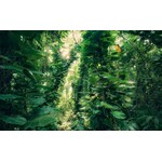 Bestel een staaltje Bestel een staaltje