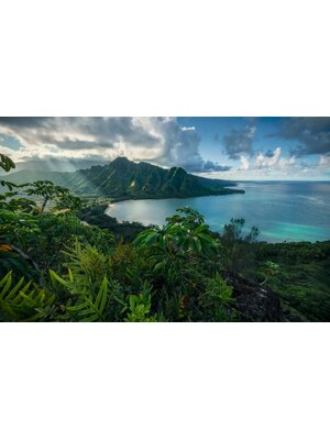 Komar Stefan Hefele; Komar Wanderlust Fotobehang Jurassic Island - SHX9-117
