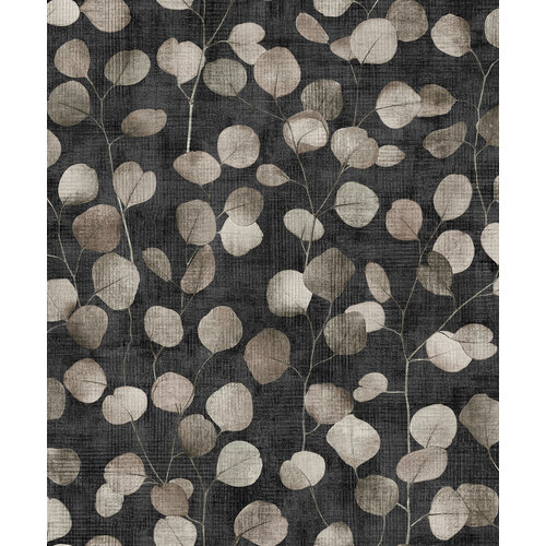 10,05m x 53cm