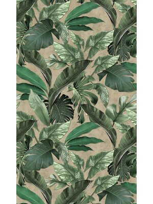 Marburg Loft Fotobehang met grote bladeren en monstera print - 34198