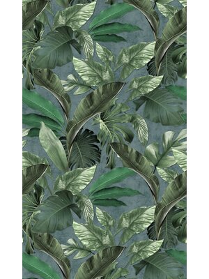 Marburg Loft Fotobehang met grote bladeren en monstera print - 34199