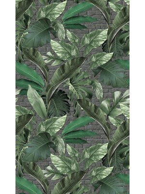 Noordwand Loft Fotobehang met grote bladeren op bakstenen achtergrond - 34195 Noordwand Loft Fotobehang met grote bladeren op bakstenen achtergrond - 34195