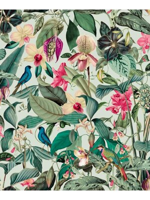 Noordwand Mona Behang bladeren vogels - 81684