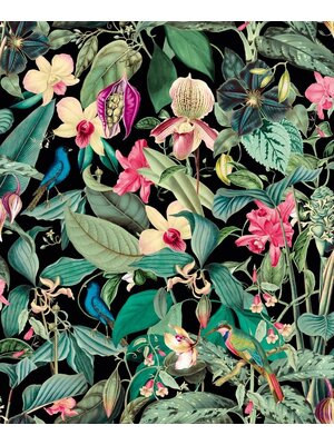 Noordwand Mona Behang bladeren vogels - 81685