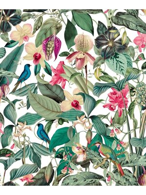 Novamur Mona Behang bladeren vogels - 81686 Novamur Mona Behang bladeren vogels - 81686