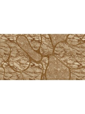 Muance Muance Fotobehang A line in the sand - MU13057