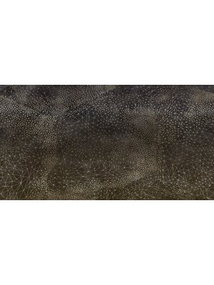 Muance Muance Fotobehang Ad astra - MU12013