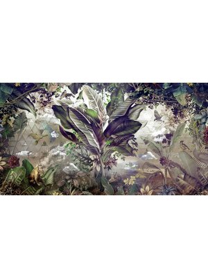 Muance Muance Fotobehang Bongo congo - MU12082