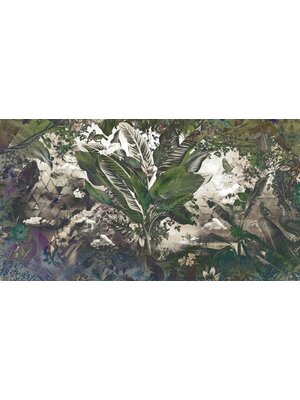 Muance Muance Fotobehang Bongo congo - MU12083