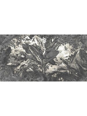 Muance Muance Fotobehang Bongo congo - MU12084 Muance Muance Fotobehang Bongo congo - MU12084