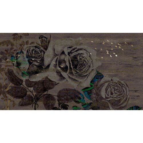 2,7m x 5m