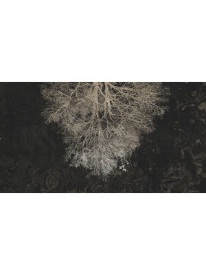 Muance Muance Fotobehang Expansion theory - MU12031