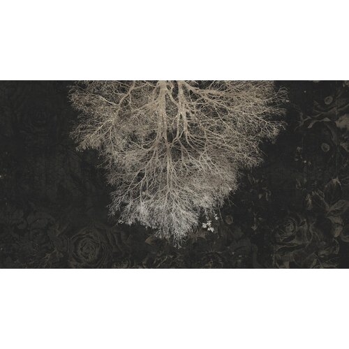 2,7m x 5m