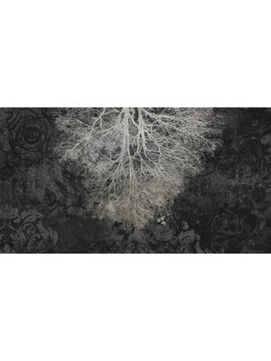 Muance Muance Fotobehang Expansion theory - MU12032 Muance Muance Fotobehang Expansion theory - MU12032