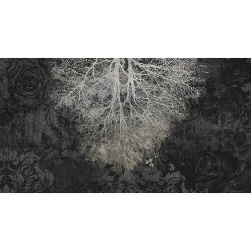 2,7m x 5m