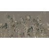 Muance Muance Fotobehang Floral garden - MU14085