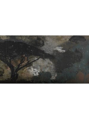 Muance Muance Fotobehang Galaxy nights - MU11058