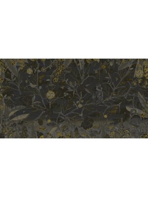 Muance Muance Fotobehang Lost world - MU12102