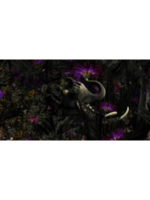 Noordwand Muance Fotobehang Mumba Kanda - MU13026 Noordwand Muance Fotobehang Mumba Kanda - MU13026