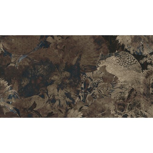 2,7m x 5m
