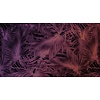 Muance Muance Fotobehang Passion leaf - MU11068