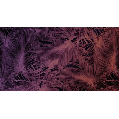 2,7m x 5m