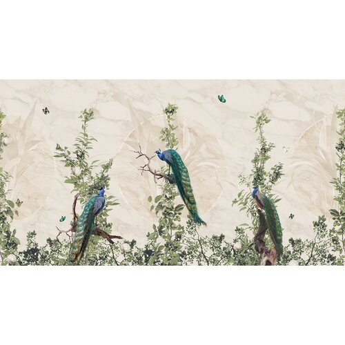 2,7m x 5m