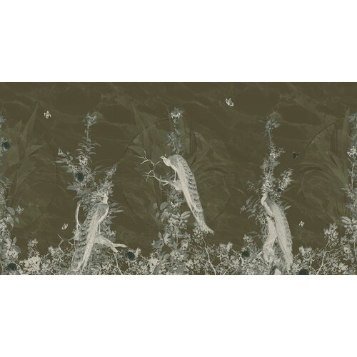 2,7m x 5m