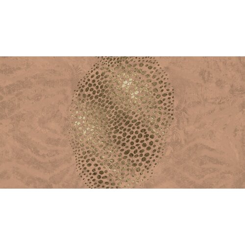 2,7m x 5m