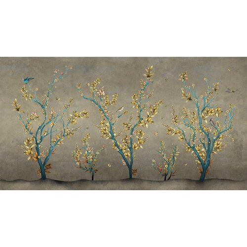 2,7m x 5m
