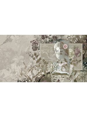 Muance Muance Fotobehang Skull Candy - MU13046