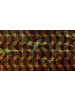 Muance Muance Fotobehang Tropicana Spheres - MU11003