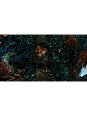 Muance Muance Fotobehang Ubuntu Forest - MU13010